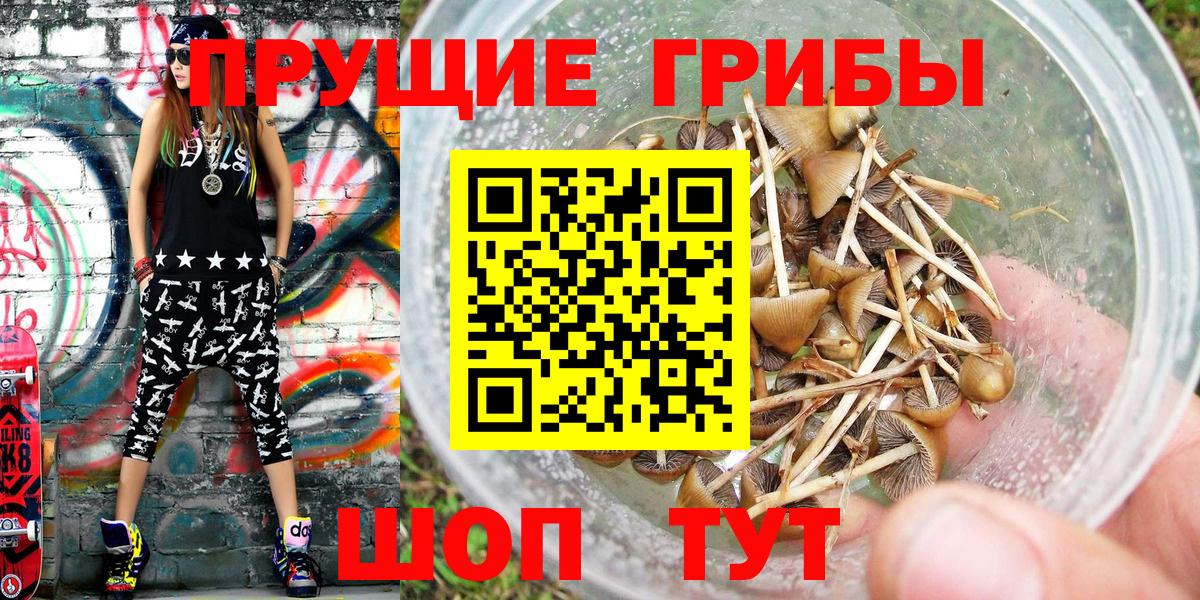 Иваново  Псилоцибиновые грибы Psilocybine cubensis  Галлюциногенные грибы прущие грибы  магазин  наркотиков  Вход с VPN 